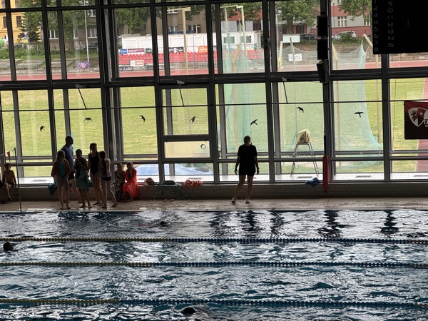 Závody sokolské všestrannosti – ročník 2026